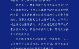 珠海驾车冲撞市民重大恶性案件造成35人死亡 43人受伤