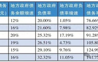 中国仍有较大举债空间！专家热议适合国情的“警戒线”