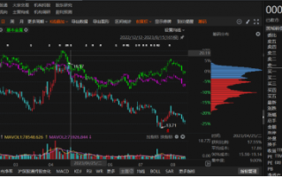 国城矿业涉嫌信披违规遭立案调查，投资者索赔条件明确！