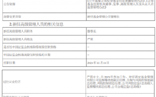 华润元大基金新任严莉为督察长 曾任职于诺安基金